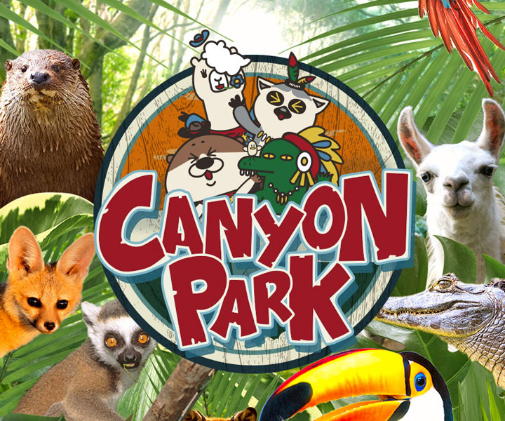 울산 캐니언파크 입장권