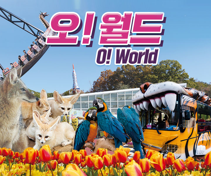 대전 오월드 입장권